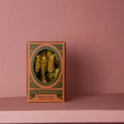 2972 LE BENEFIQUE Assortiment 20 tiges infusion Sultan - Sauge - Le Bénéfique