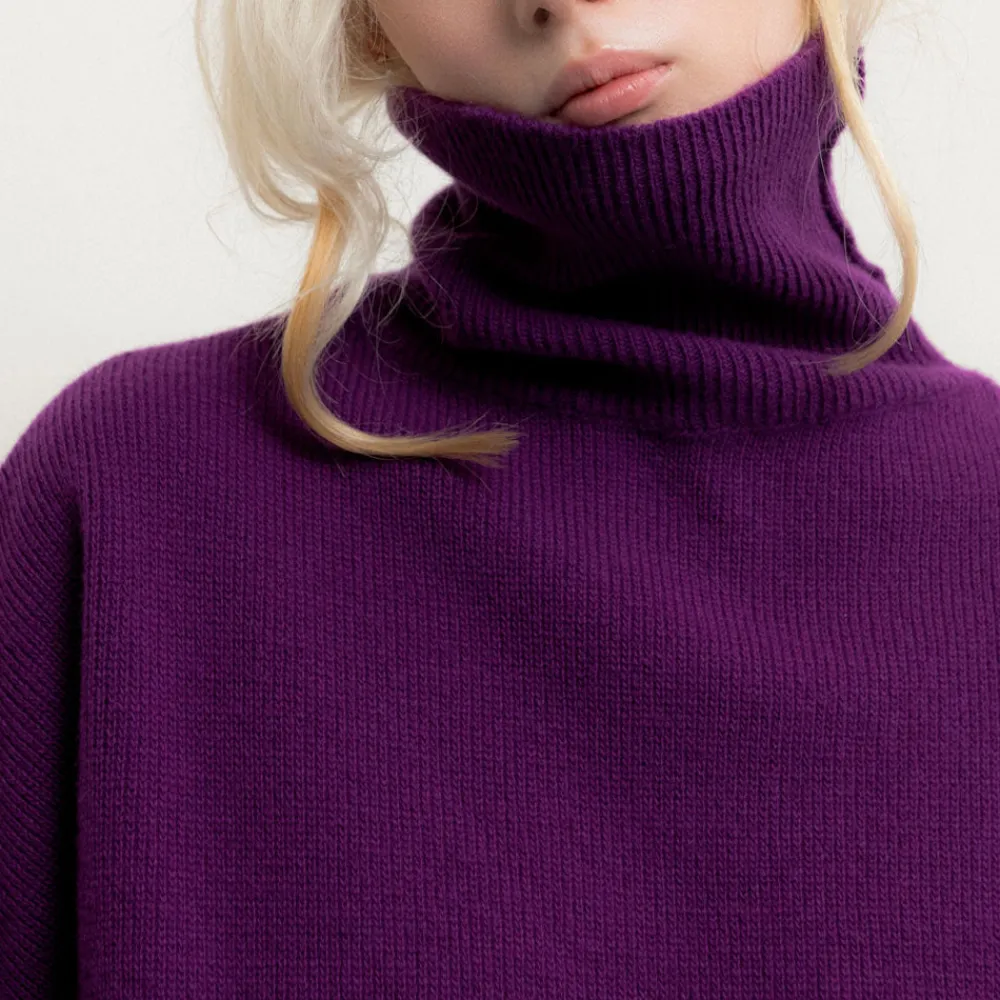 Women Belle Pièce - Pull Andy - Violet