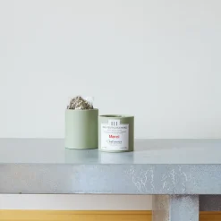 391 L'INFUSEUR Boite Vrac - Thé vert gingembre