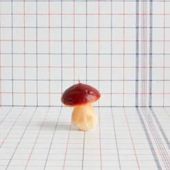 1352 CERERIA INTRONA SRL Bougie - Champignon