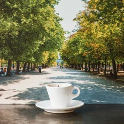 1352 CERERIA INTRONA SRL Bougie - Tasse à café