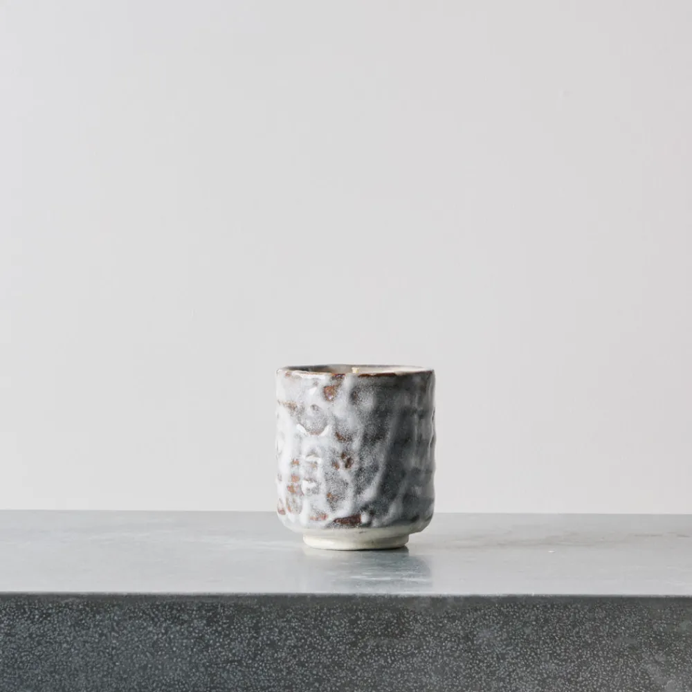 2183 PROVIDER STORE Bougie Nukata - Hikari