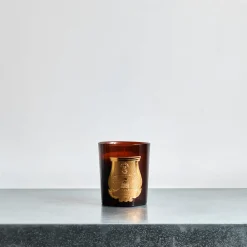 241 SAS CIR Bougie parfumée Trudon 270 g - Cire