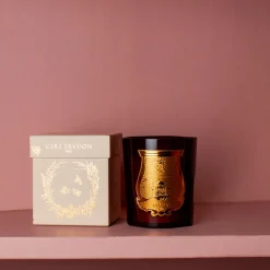 241 SAS CIR Bougie parfumée Trudon 270 g - Cire