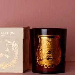 241 SAS CIR Bougie parfumée Trudon 270 g - Cire