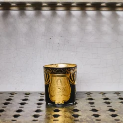 241 SAS CIR Bougie parfumée Trudon 270 g - Fir Edition Noël 2024