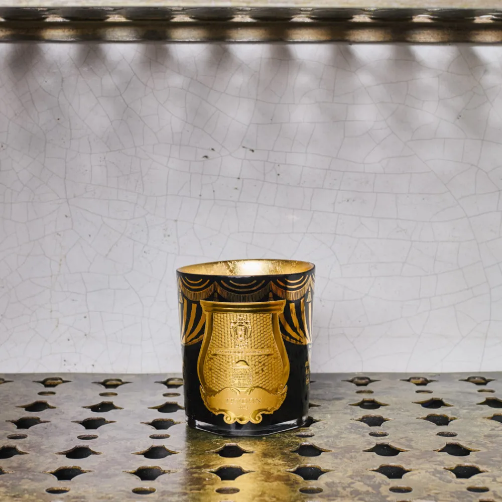 241 SAS CIR Bougie parfumée Trudon 270 g - Fir Edition Noël 2024