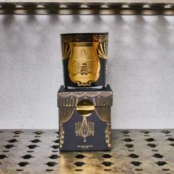 241 SAS CIR Bougie parfumée Trudon 270 g - Fir Edition Noël 2024