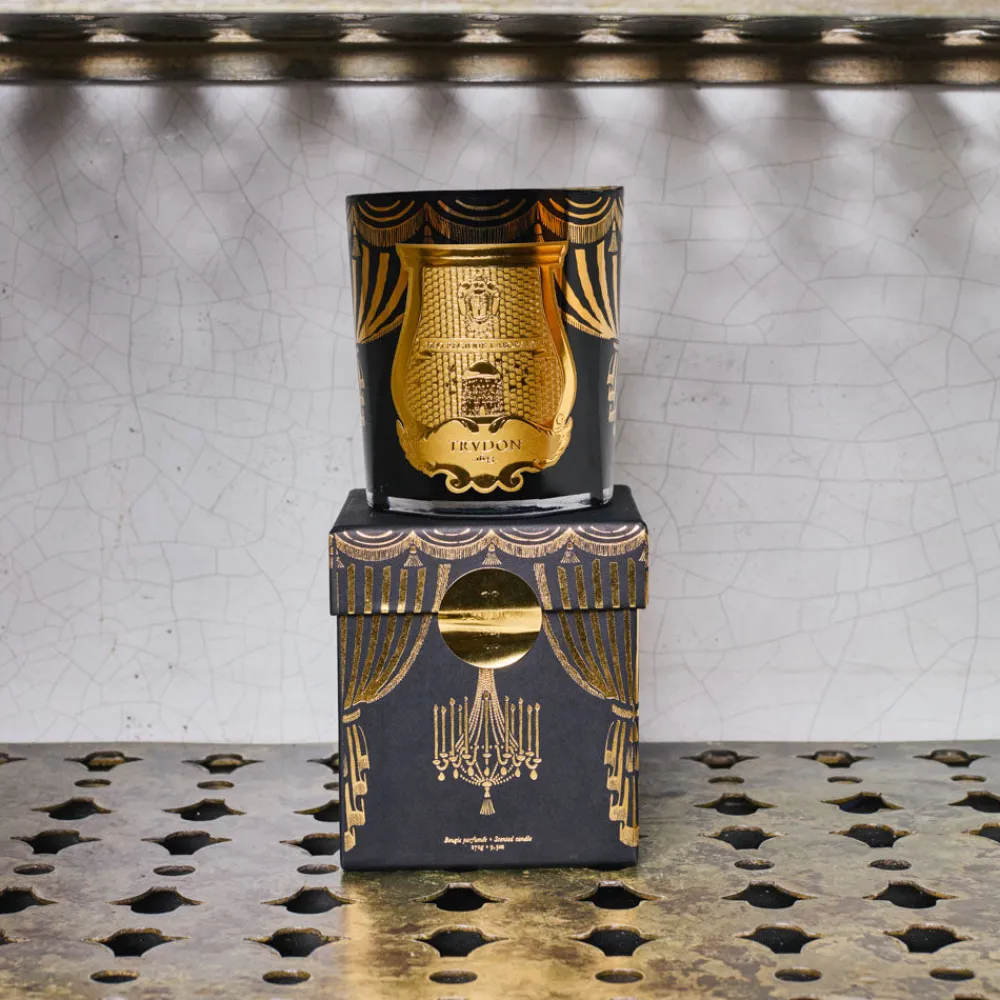 241 SAS CIR Bougie parfumée Trudon 270 g - Fir Edition Noël 2024