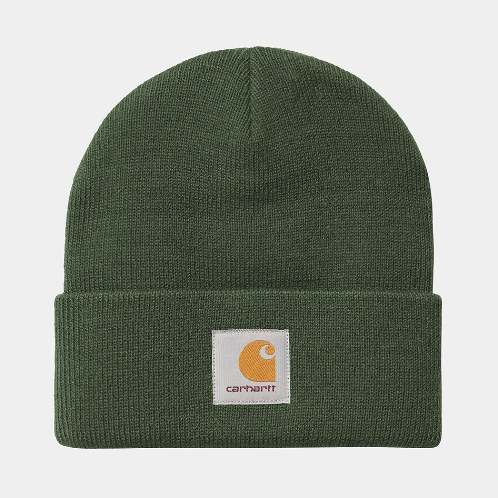 Carhartt WIP - Bonnet Short Watch - Vert