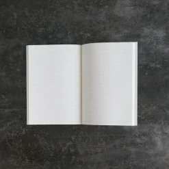 2253 DAVID SHRIGLEY Carnet - All Your Stupid Ideas