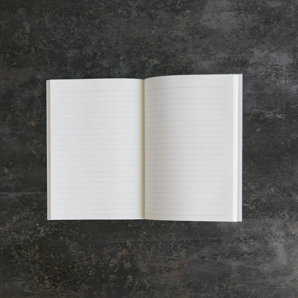 2253 DAVID SHRIGLEY Carnet - All Your Stupid Ideas