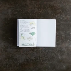 2962 BRANDBOOK Carnet de recettes Merci - Office
