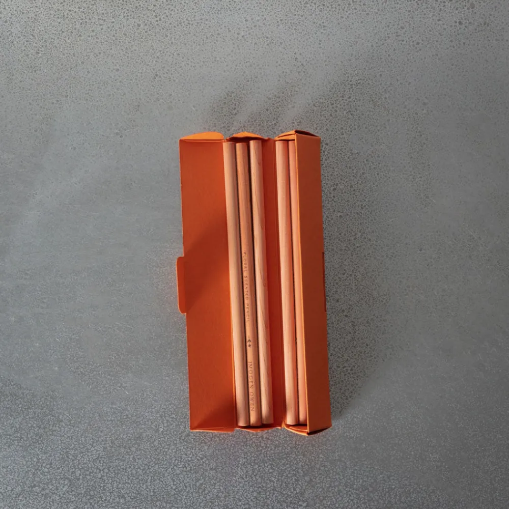1350 IMOGEN OWEN Crayons parfumés - Pain d'épice