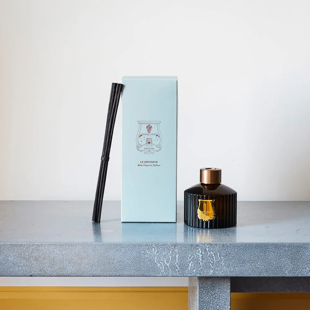241 SAS CIR Diffuseur d'intérieur Trudon
