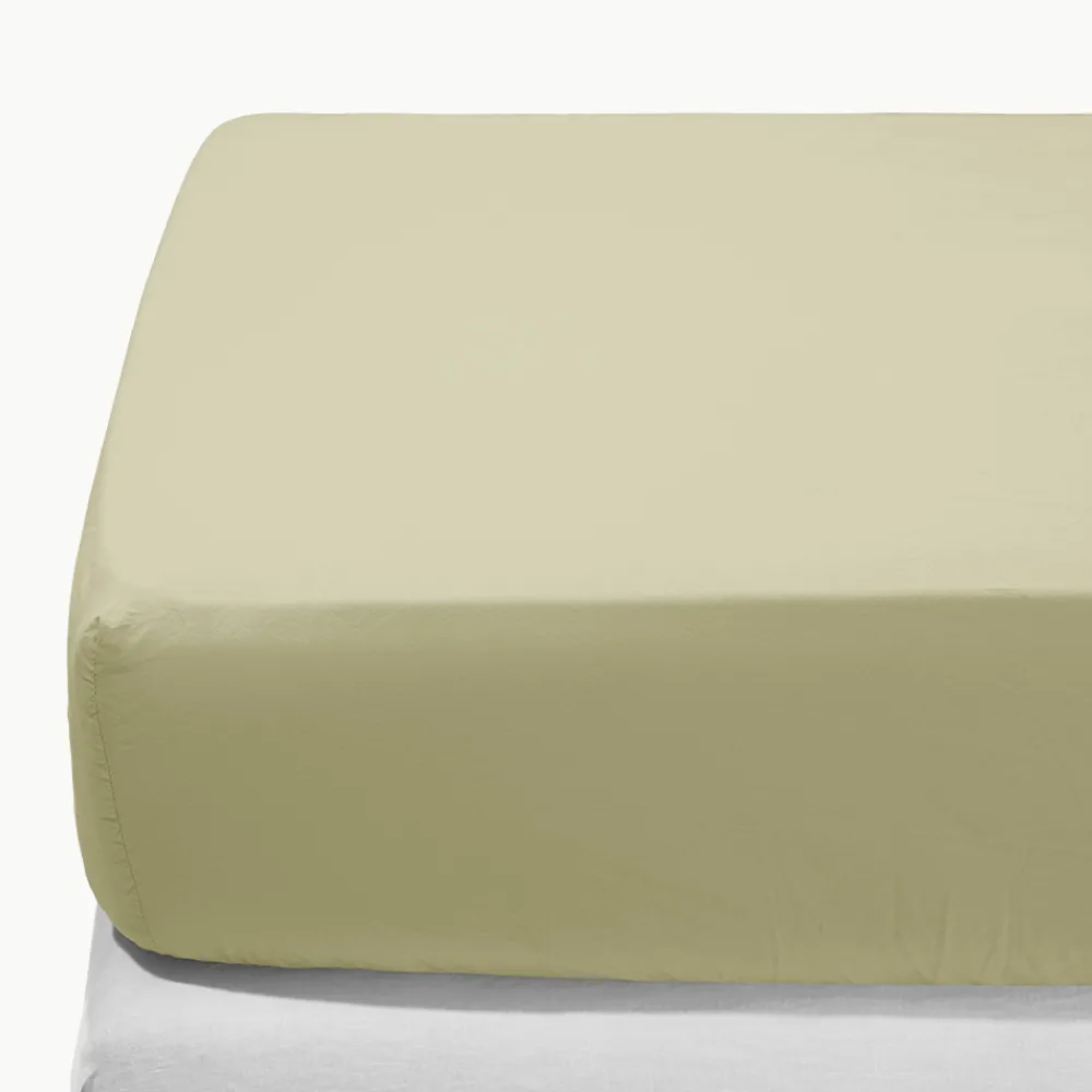 1700 COTEX Drap-housse en percale de coton - Vert Sauge