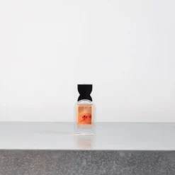 1833 ANTINOMIE Eau de parfum Ambre Insomniaque - Antinomie