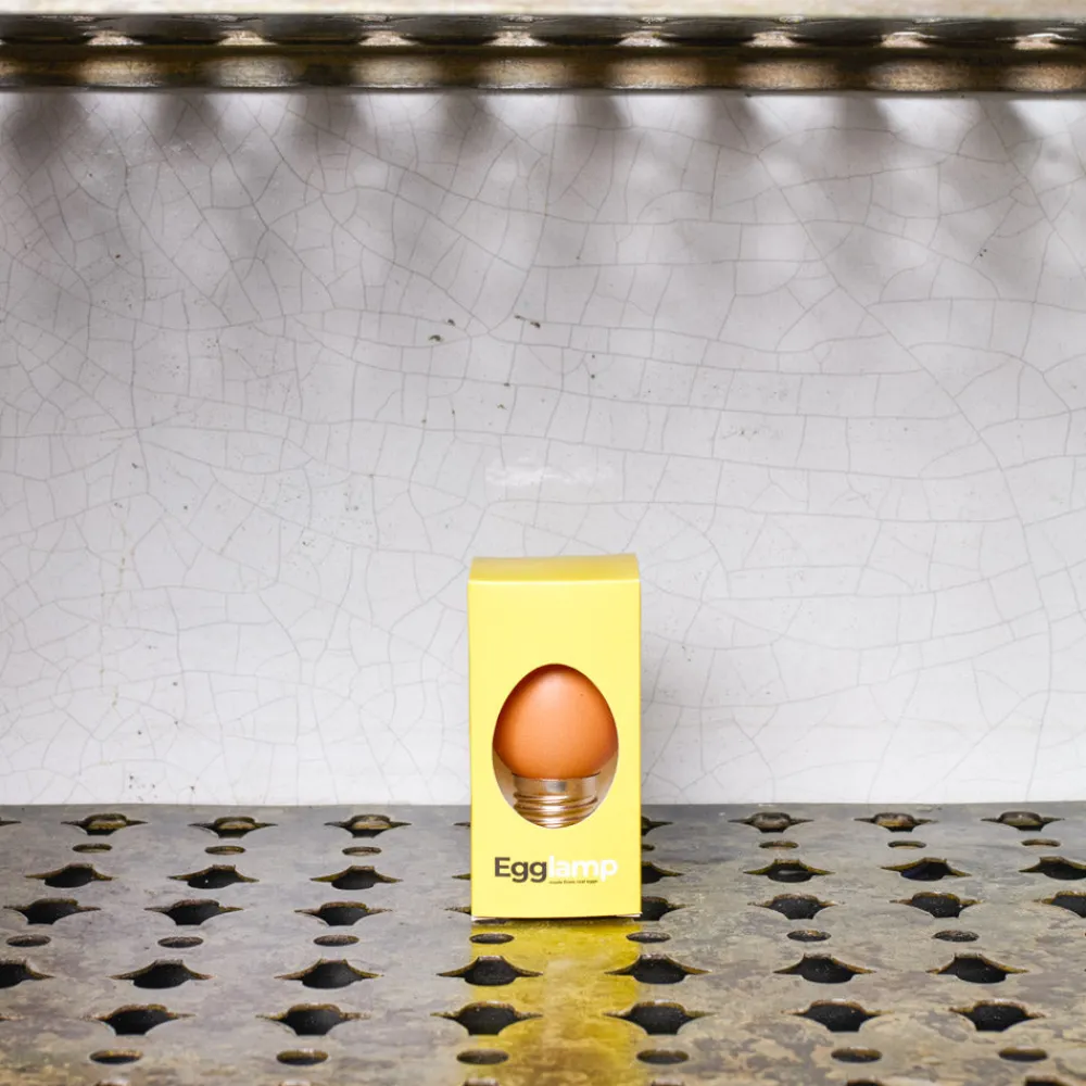 2210 RUBEN DE HAAS Egglamp - Ruben De Haas
