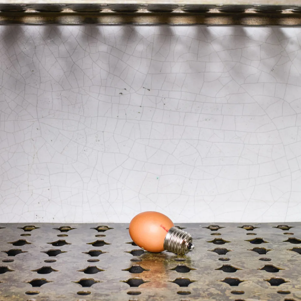 2210 RUBEN DE HAAS Egglamp - Ruben De Haas