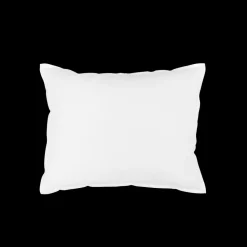 1926 PATO RICO Intérieur de coussin en plume d'oie - Blanc