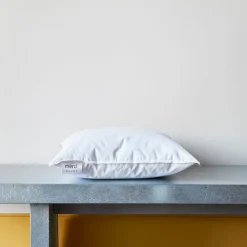 1926 PATO RICO Intérieur de coussin en plume d'oie - Blanc