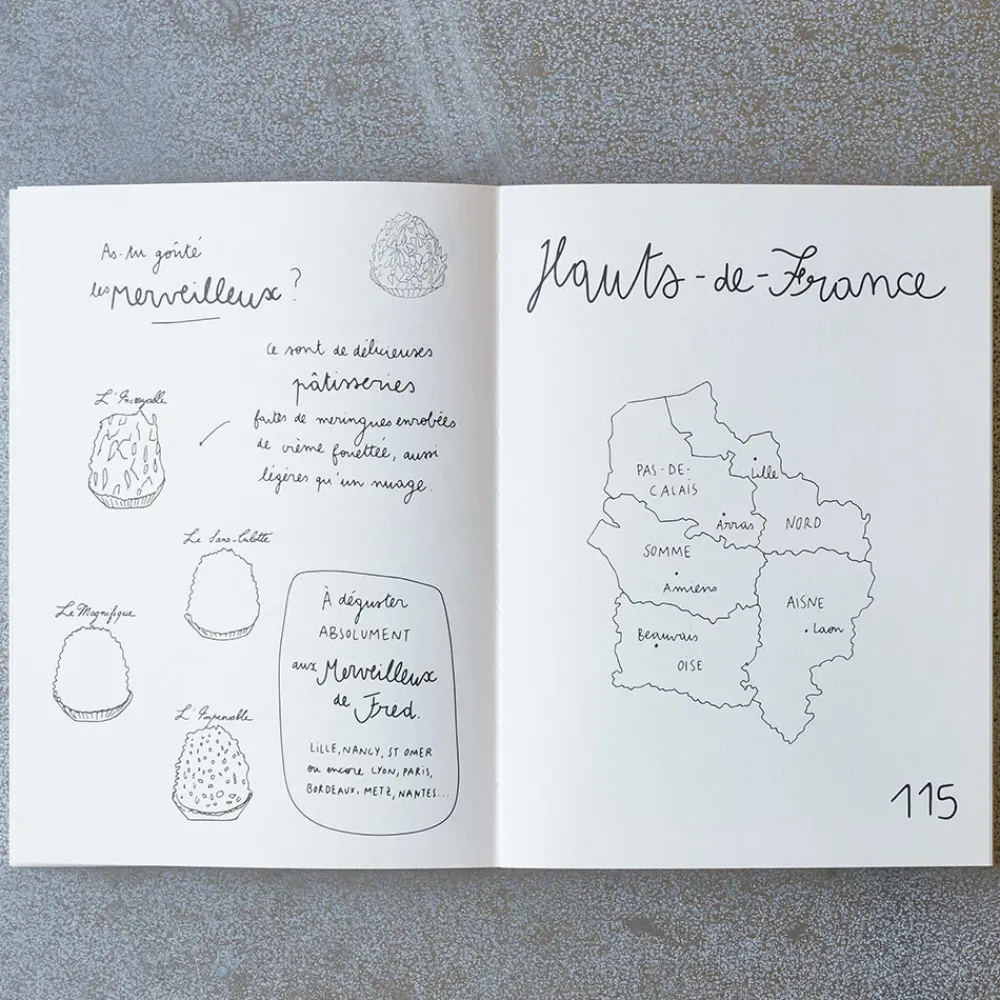 746 HACHETTE EDITIONS Livre - Carnet du Voyageur France