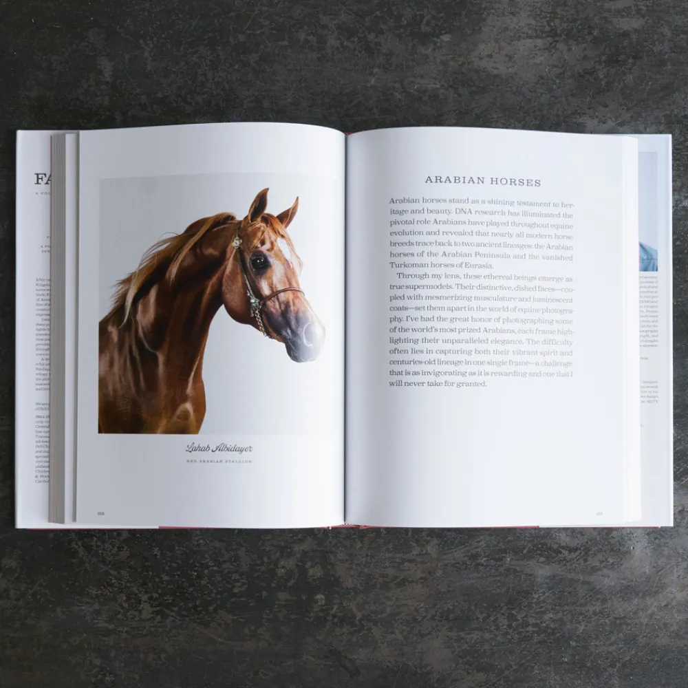 1212 INTERART Livre - Farm Life