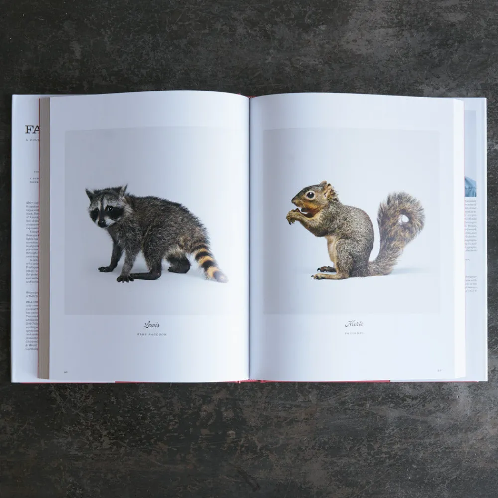 1212 INTERART Livre - Farm Life