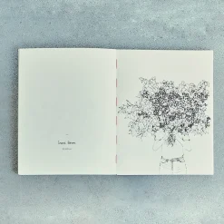746 HACHETTE EDITIONS Livre - Fleurs de Zoé de las Cases