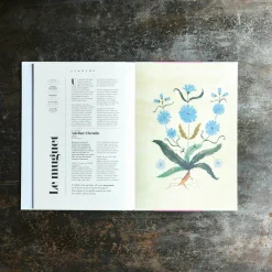746 HACHETTE EDITIONS Livre - Flowers
