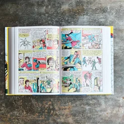 1305 TASCHEN Livre - Spider-Man. Vol. 1. 1962–1964