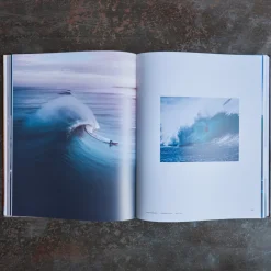 1751 POLLEN DIFFUSION DIFPOP Livre - Surf Porn