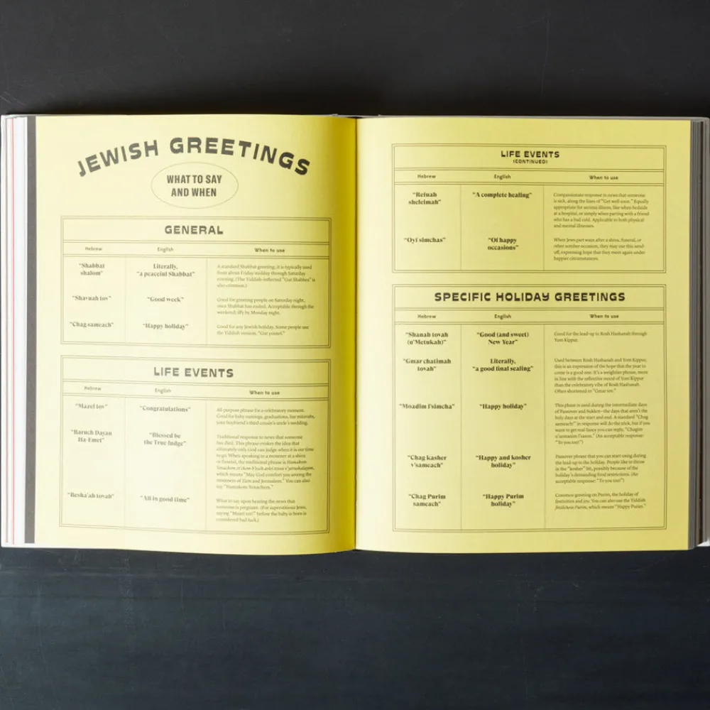 1671 GBS Livre - The Newish Jewish Encyclopedia