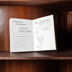 746 HACHETTE EDITIONS Livret - Carnet du voyageur Londres