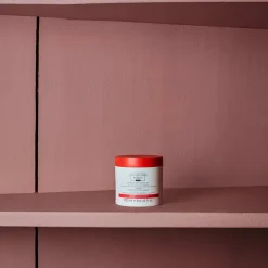 2956 CHRISTOPHE ROBIN Masque cheveux régénérant à l'huile de figue - Christophe Robin - 250 ml