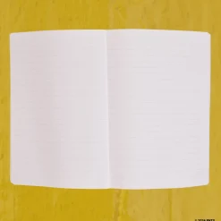 2962 BRANDBOOK Peanuts x Merci - Carnet A5