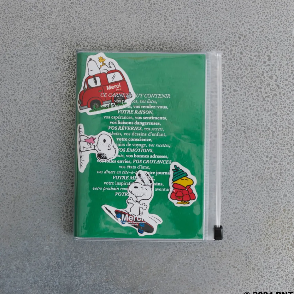 2177 ESPACE GRAPHIC Peanuts x Merci - Stickers Skate Peanuts