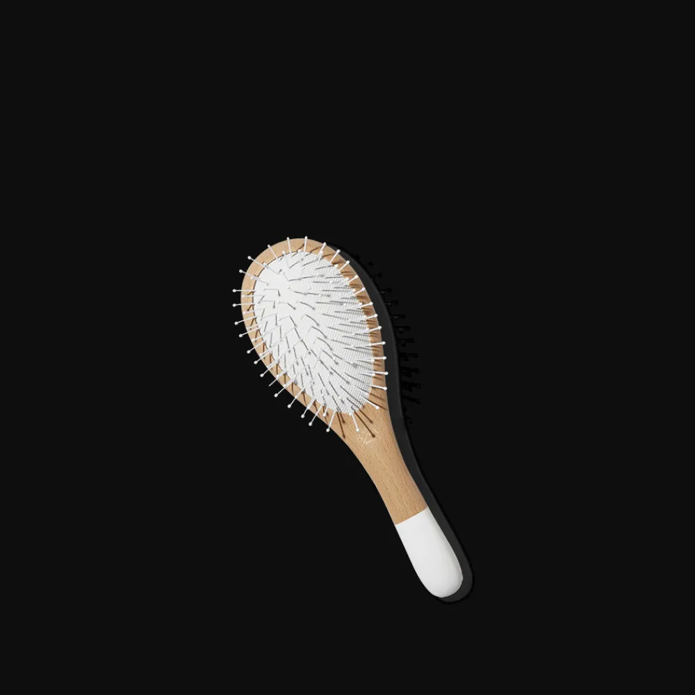 2955 BACHCA Petite brosse de démêlage - Bachca