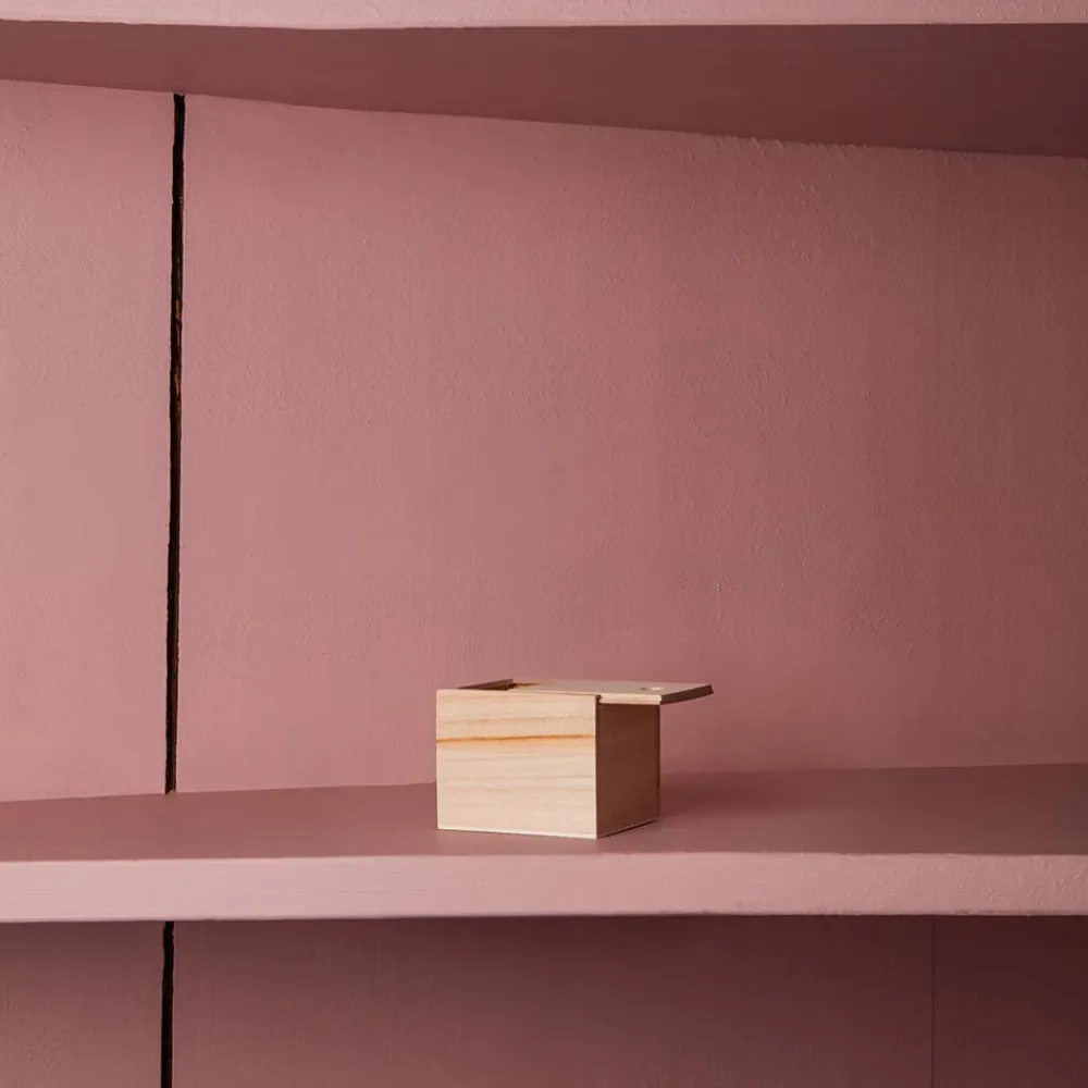 1139 BAZAR DE LUXE Porte-savon magnétique