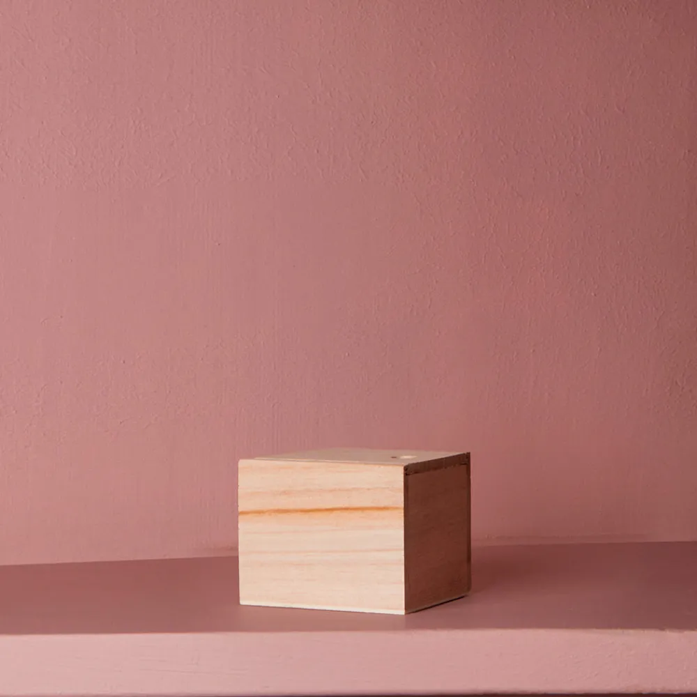 1139 BAZAR DE LUXE Porte-savon magnétique