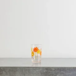 2061 ADERIA Verre Ă eau - Cosmos Orange